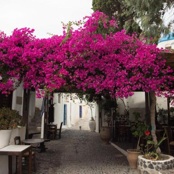 Villa Orpheus Santorini Megalochori  Eksteriør bilde